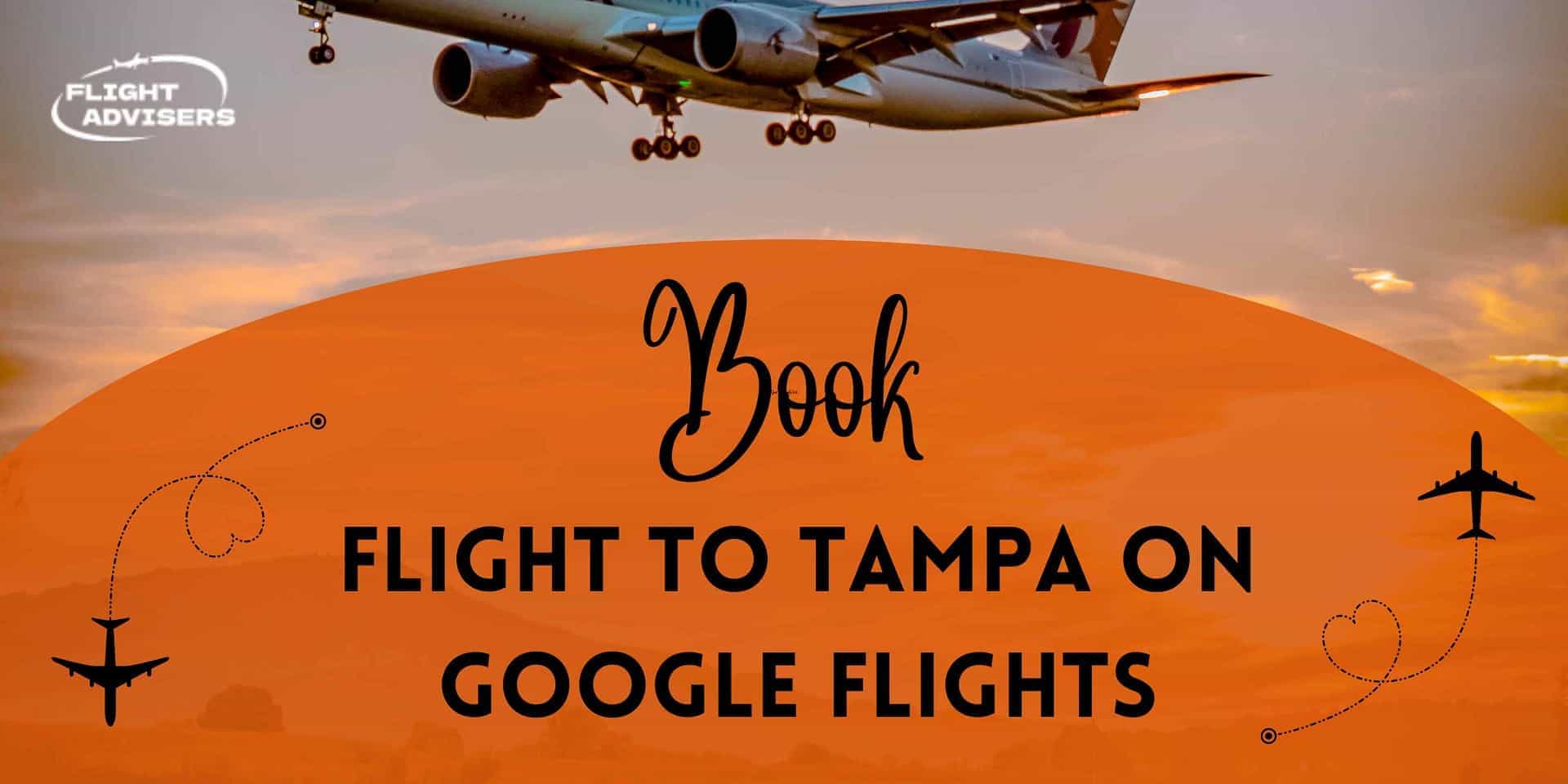 how-to-find-google-flights-to-tampa-like-a-pro