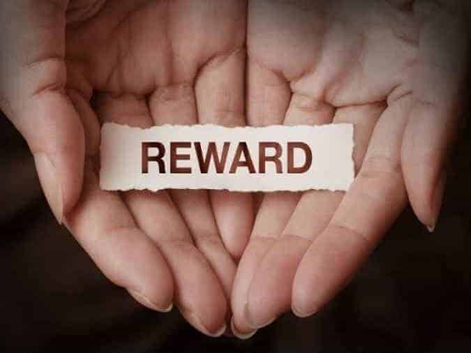 loyality-rewards